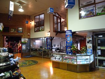 gallery